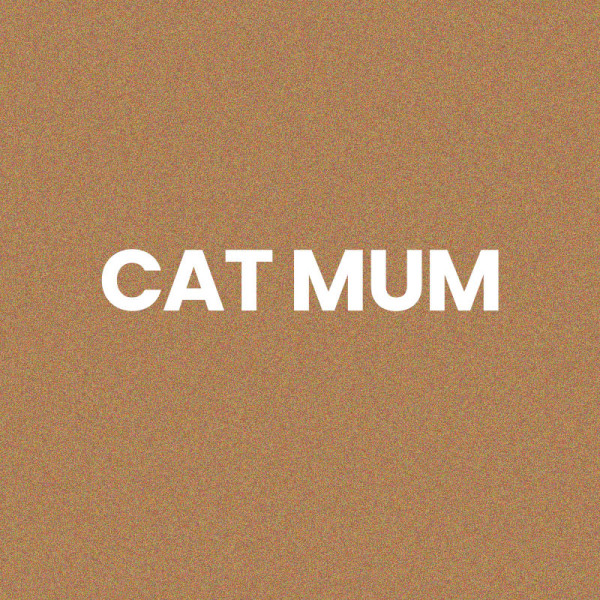 Chaussettes - Femme - Beige avec paillettes - Cat Mum - Taille 36/42 - Humour - Cadeau
