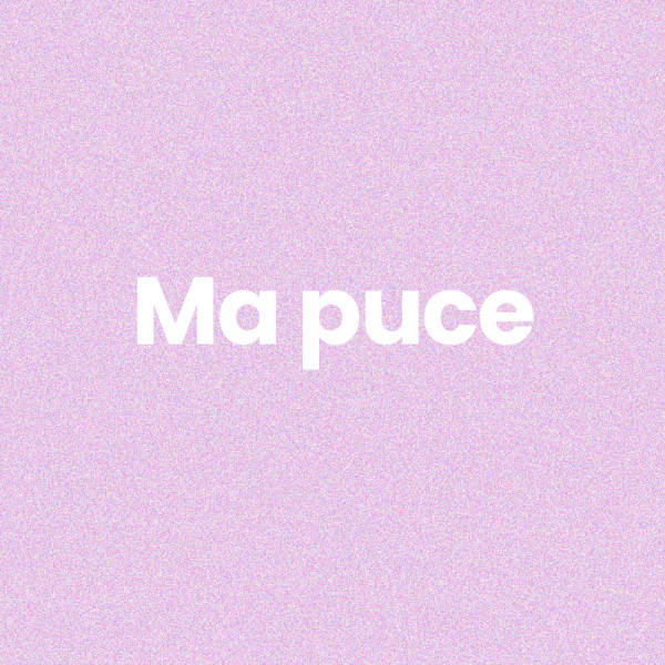 Chaussettes - Femme - Violet avec paillettes - Ma puce - Taille 36/42 - Humour - Cadeau