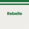 Chaussettes - Femme - Blanc avec paillettes avec bandes vert - Rebelle  - Taille 36/42