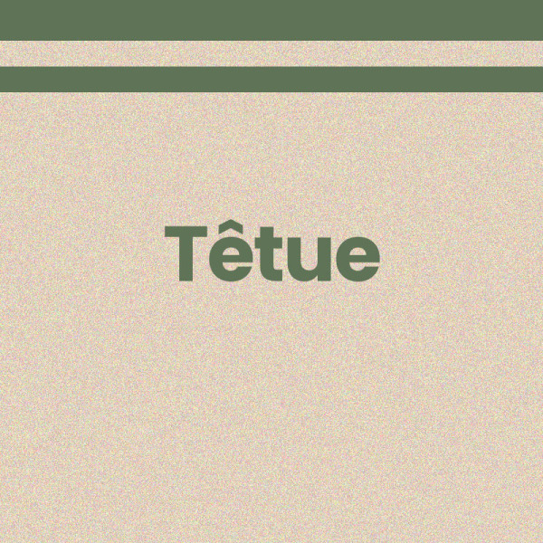 Chaussettes - Femme - Beige avec paillettes avec bandes vert - Têtue  - Taille 36/42
