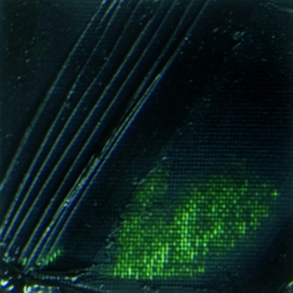 Tube de peinture à l'huile - Fine - Vert de Vessie - 17 - 37ml - Pébéo Studio XL