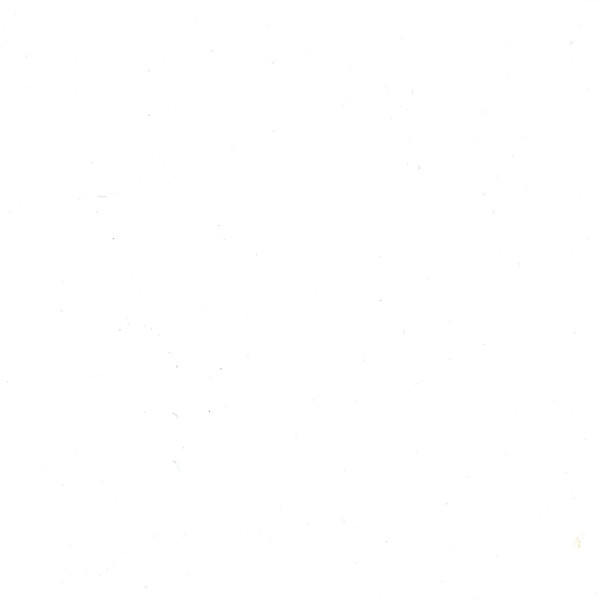 Encre aquarelle - Blanc - Pébéo - Colorex - Calligraphie, dessin - 1L
