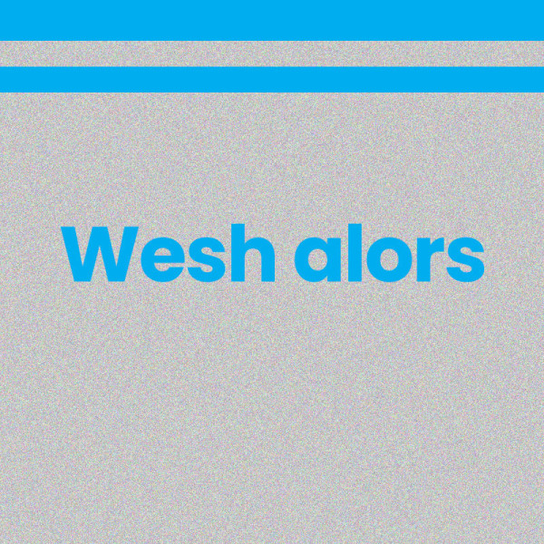 Chaussettes - Femme - Argent avec paillettes avec bandes bleues - Wesh alors - Taille 36/42