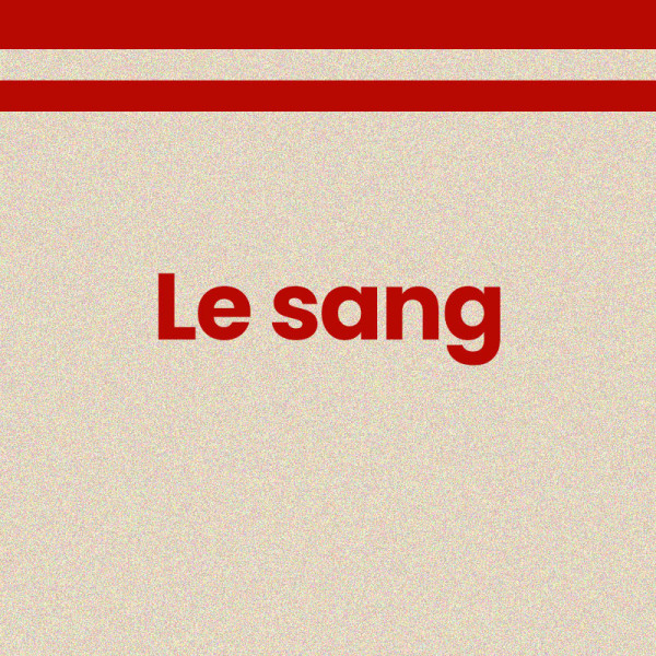 Chaussettes - Femme - Beige avec paillettes avec bandes rouge - Le sang - Taille 36/42
