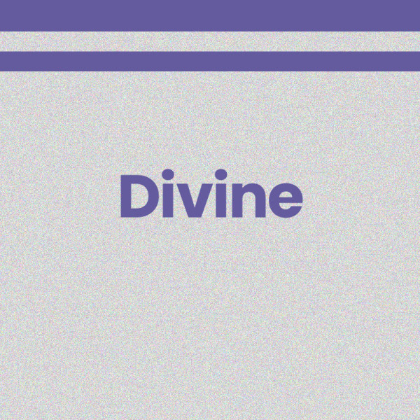 Chaussettes - Femme - Argent avec paillettes avec bandes violettes - Divine - Taille 36/42
