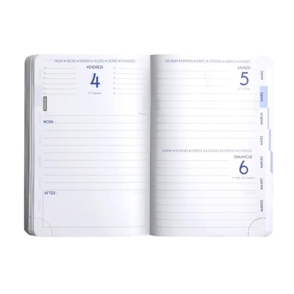 Agenda - 2026/2027 - Scolaire - Shiba manga - 1 page par jour - 12x17cm - Exacompta