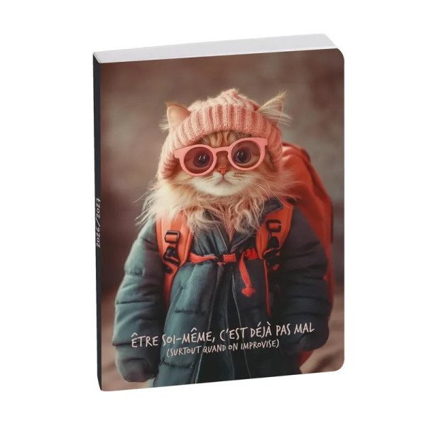 photo-Agenda - 2026/2027 - Scolaire - Chat aventurier - 1 page par jour - 12x17cm - Exacompta
