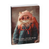 photo-Agenda - 2026/2027 - Scolaire - Chat aventurier - 1 page par jour - 12x17cm - Exacompta
