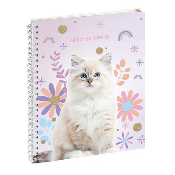 photo-Cahier de textes - Spirale - 17x22cm - Lovely chat - Scolaire - Pratique - Exacompta