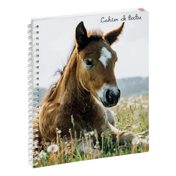 photo-Cahier de textes - Spirale - 17x22cm - Cheval - Scolaire - Pratique - Exacompta