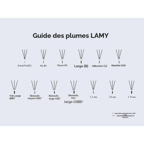 Plume de rechange pour porte-plume ou stylo plume - Métal - Z50 Joy 1.1 - Lamy