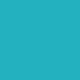 Cartouche d'encre - Bleu turquoise - Grande taille - Compatible stylos LAMY - 5 cartouches