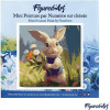 Peinture par numéro - Modèle Lapin - 20x20cm - Toile tendue + pinceaux + peinture - Débutant - Figured'Art