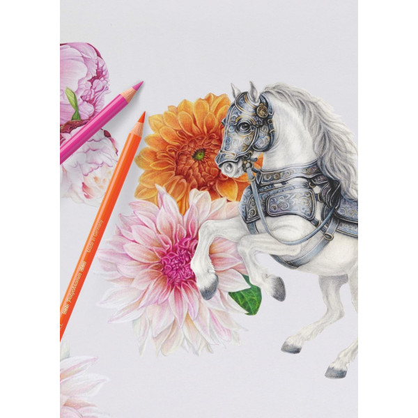 Crayons de couleur - Faber-Castell - Polychromos - 20 teintes - Boite métal