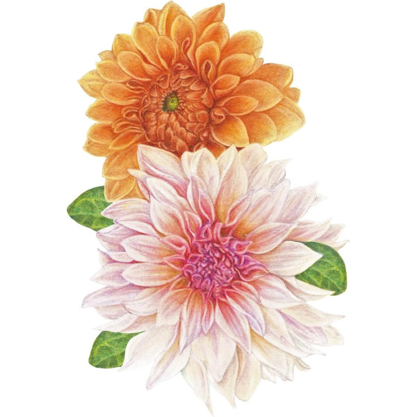 Crayons de couleur - Faber-Castell - Polychromos - 20 teintes - Boite métal