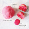 Colorant alimentaire en gel rose - Glaçage, pâte à sucre et pâtisserie - ScrapCooking - 20 g