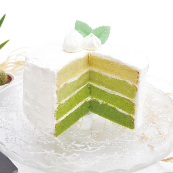 Colorant alimentaire en poudre vert ScrapCooking 5 g – Pâtisserie et glaçages