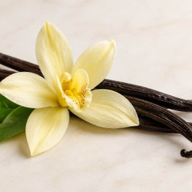 Arôme naturel de vanille en poudre - Gâteaux, desserts - ScrapCooking - 15g