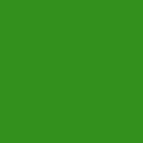 Teinture textile en sachet soluble iDye Poly – Vert Kelly 460 – 14 g – Jacquard