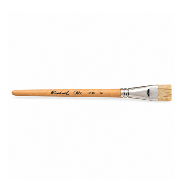 Brosse plate courte pour peinture à l’huile Raphaël Oléo 3630 n°14