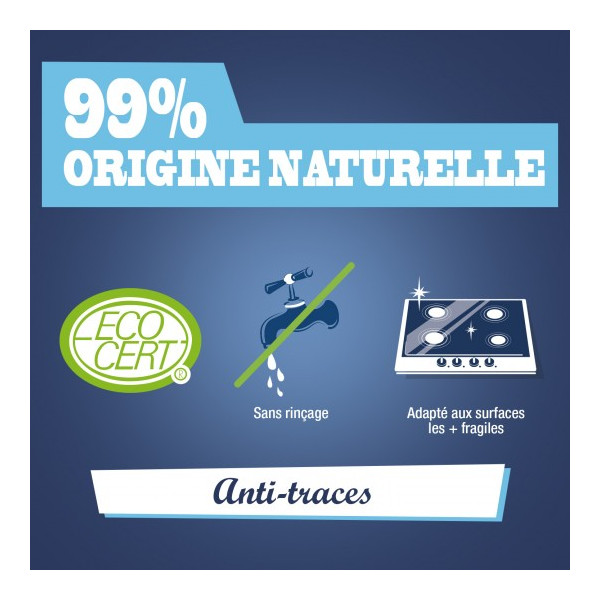 Nettoyant universel multi-surfaces anti-traces Briochin – 1 L