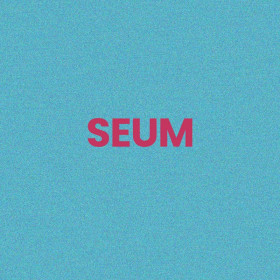 Chaussettes à paillettes bleues tuftées « SEUM » – Pointure 36-42 – STC