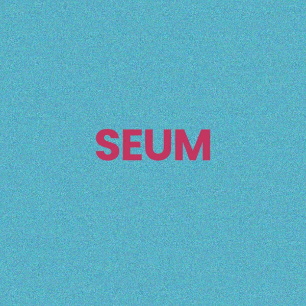 Chaussettes à paillettes bleues tuftées « SEUM » – Pointure 36-42 – STC