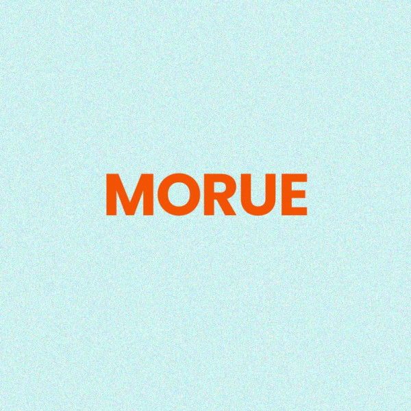 Chaussettes à paillettes bleues tuftées « Morue » – Pointure 36-42 – STC