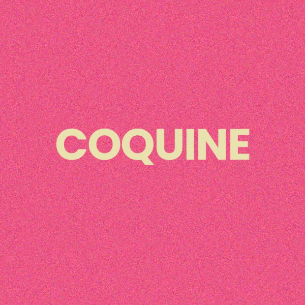 Chaussettes à paillettes roses tuftées « Coquine » – Pointure 36-42 – STC