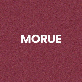 Chaussettes à paillettes bordeaux tuftées « Morue » – Pointure 36-42 – STC