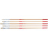Set de 5 pinceaux en soie de porc – ronds, langues de chat et plats