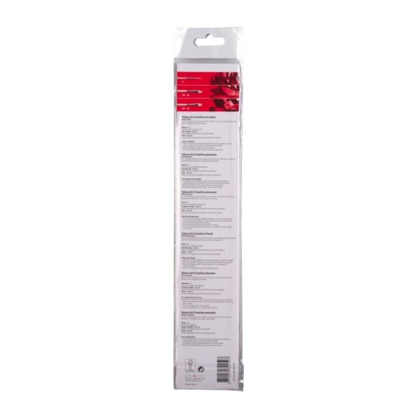 Set de 5 pinceaux en soie de porc – ronds, langues de chat et plats