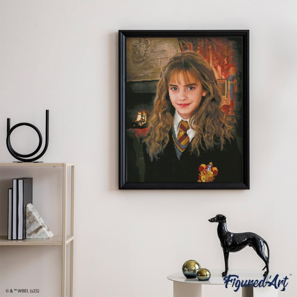 Kit diamond painting Harry Potter – Portrait d'Hermione Granger – 40 x 50 cm – Figured'Art