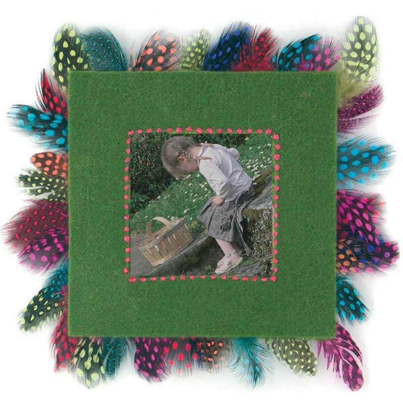 50 Plumes Multicolores 10 Cm - Ctop | Surdiscount
