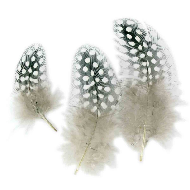 50 PLUMES 10 CM CAMAÏEU NATUREL - CTOP