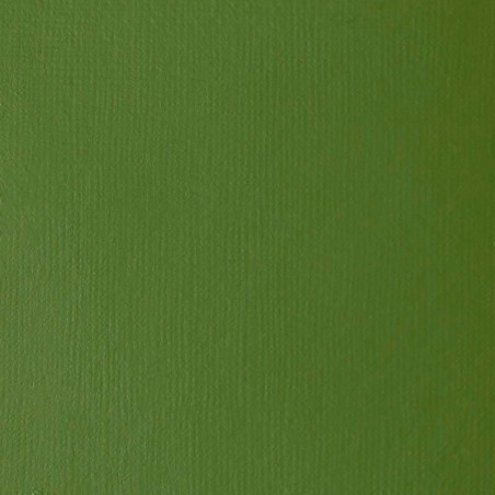 Peinture Acrylique en tube - vert oxyde de chrome - Liquitex Heavy Body | Surdiscount
