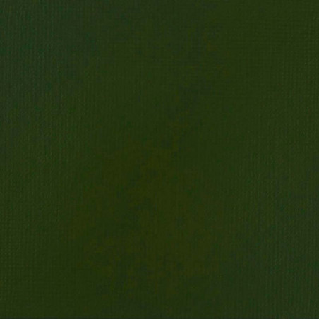 Peinture Acrylique en tube - vert de vessie permanent - Liquitex Heavy Body | Surdiscount