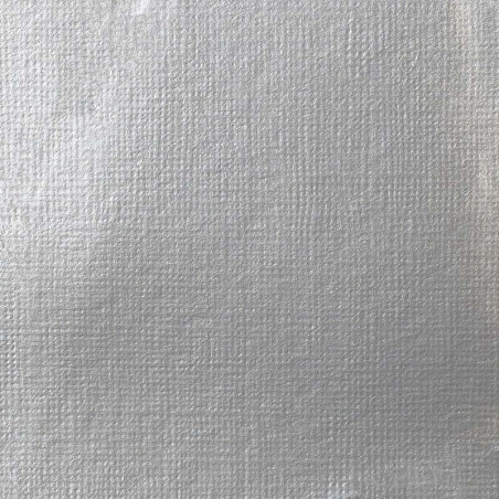 Peinture Acrylique en tube - argent éclatant iridescent - Liquitex Heavy Body | Surdiscount