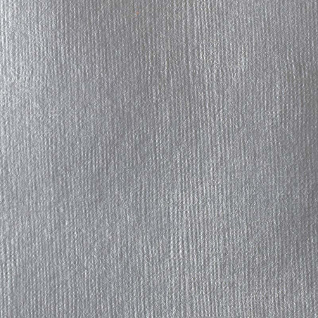 Peinture Acrylique en tube - argent riche iridescent - Liquitex Heavy Body | Surdiscount