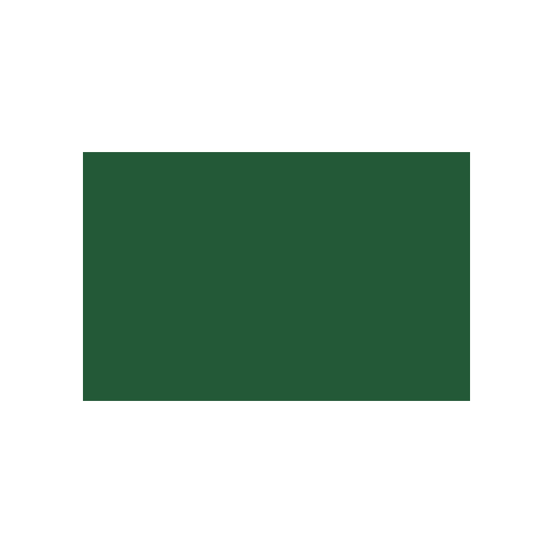 Bombe de peinture - vert oxyde de chrome - Liquitex | Surdiscount