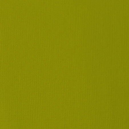 Peinture Acrylique en tube - vert olive clair - Liquitex Basics | Surdiscount