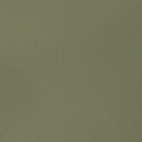 Peinture Acrylique en tube - gris vert - Liquitex Basics | Surdiscount