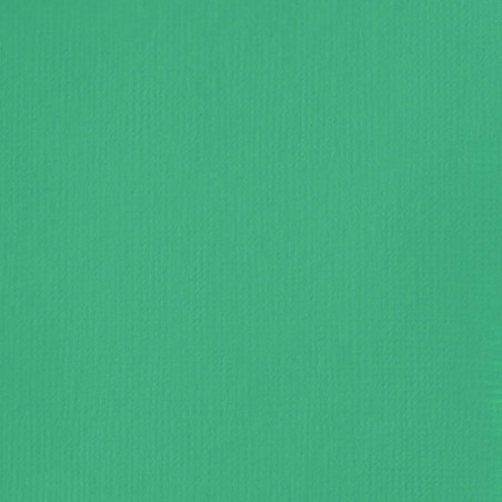 Peinture Acrylique en tube - vert d'eau éclatant - Liquitex Basics | Surdiscount-13371
