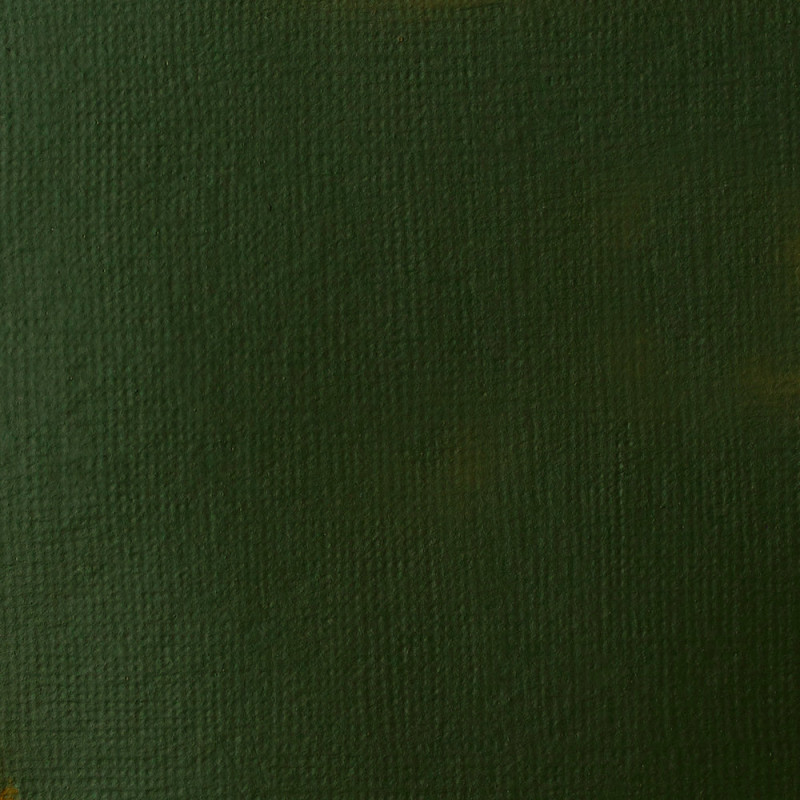 Peinture Acrylique en tube - vert de hooker permanent - Liquitex Basics | Surdiscount