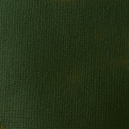 Peinture Acrylique en tube - vert de hooker permanent - Liquitex Basics | Surdiscount