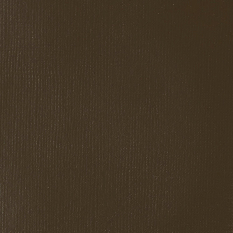Peinture Acrylique en tube - terre ombre naturelle transparente - Liquitex Heavy Body | Surdiscount