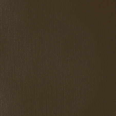 Peinture Acrylique en tube - terre ombre naturelle transparente - Liquitex Heavy Body | Surdiscount