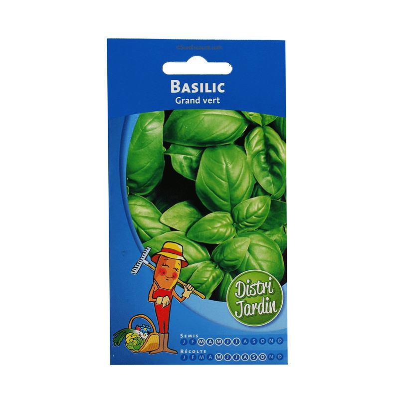 Sachet De Graines Basilic Grand Vert pas cher