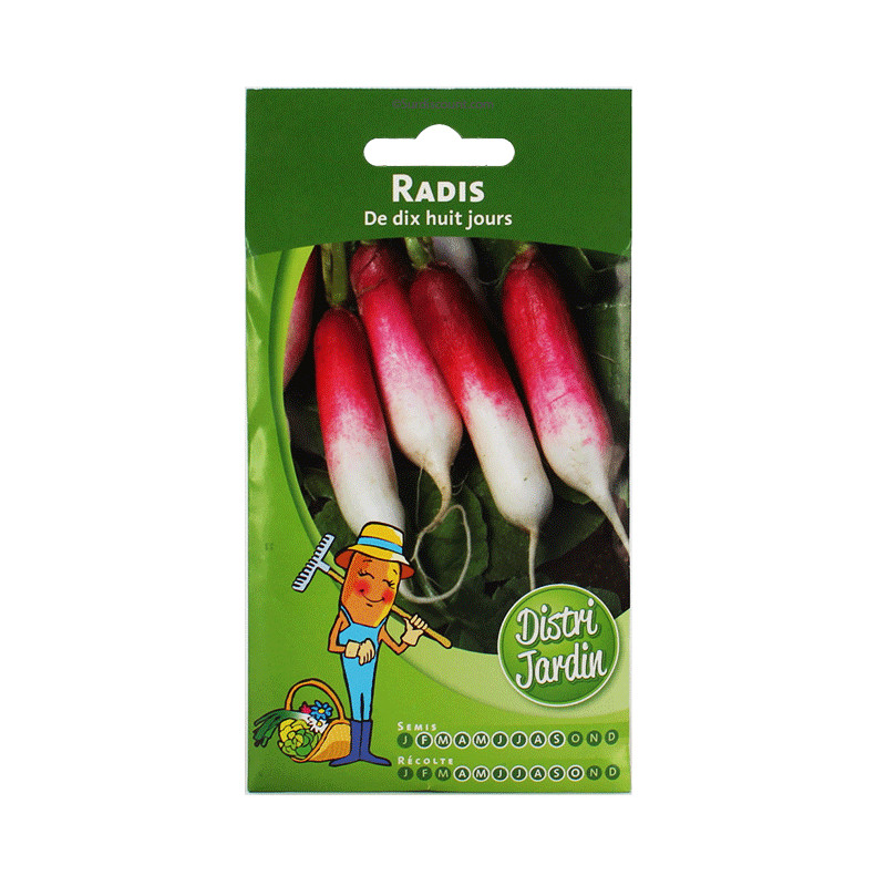 Sachet De Graines Radis De 18 Jours pas cher