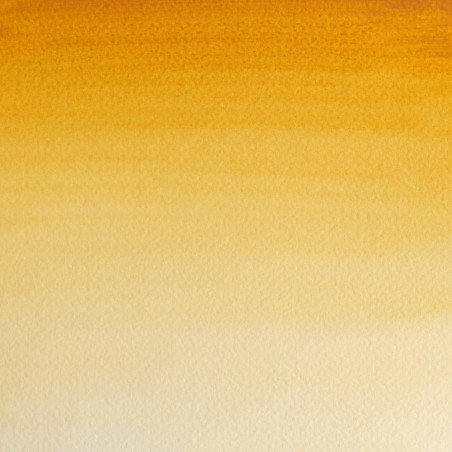 Aquarelle Professionnelle Extra-Fine - 5Ml - Terre De Sienne Naturelle - Winsor Et Newton | Surdiscount